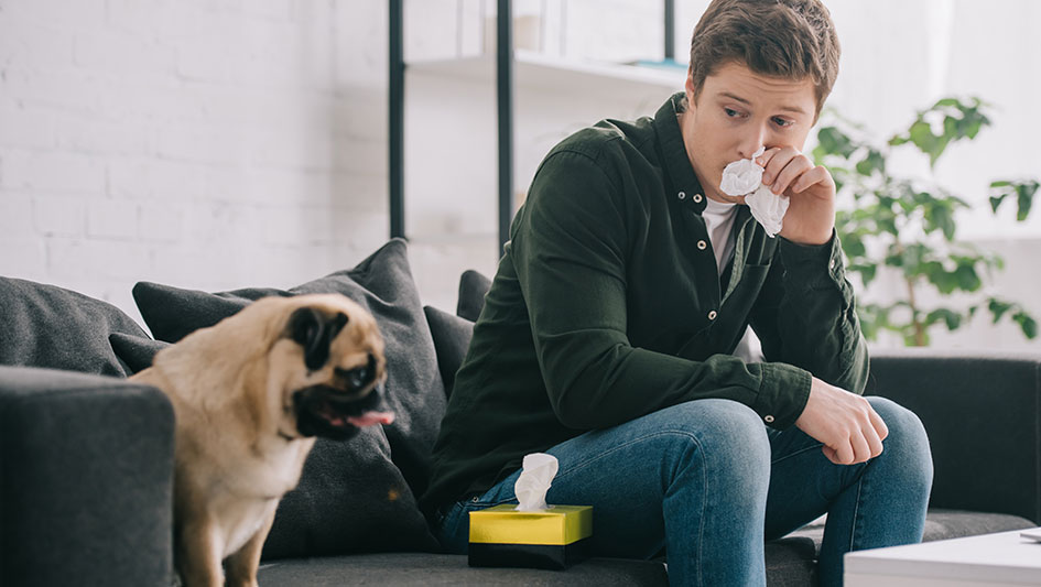 Installing an air purifier is one of the smartest ways to improve your house’s indoor air quality. Discover more about the three best products. 